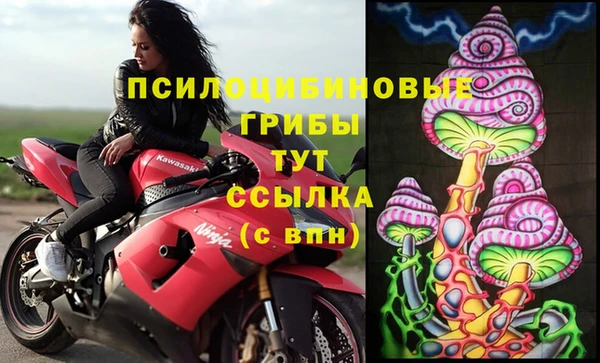 PSILOCYBIN Киренск
