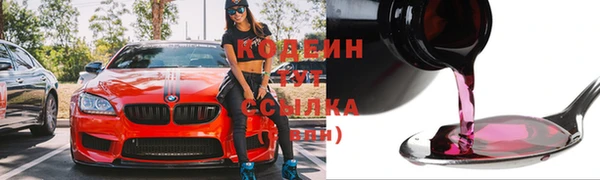 мдпв Киреевск
