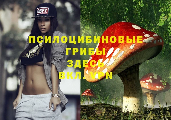 мдпв Киреевск