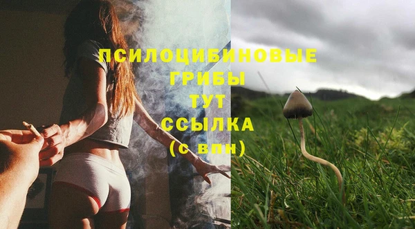 PSILOCYBIN Киренск