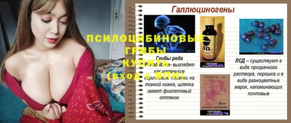 мдпв Киреевск
