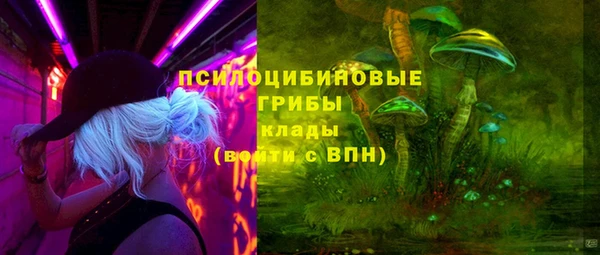 ГАЛЛЮЦИНОГЕННЫЕ ГРИБЫ Кинешма