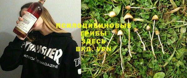 PSILOCYBIN Киренск